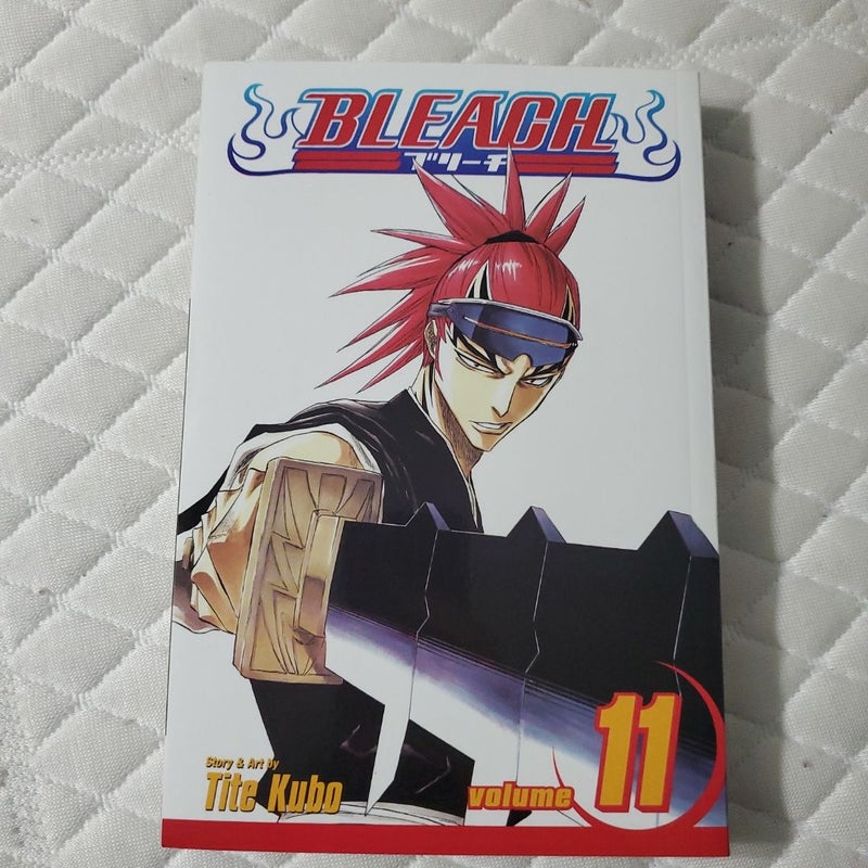 Bleach, Vol. 11