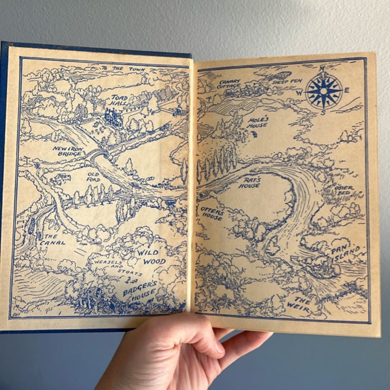 The Wind in the Willows