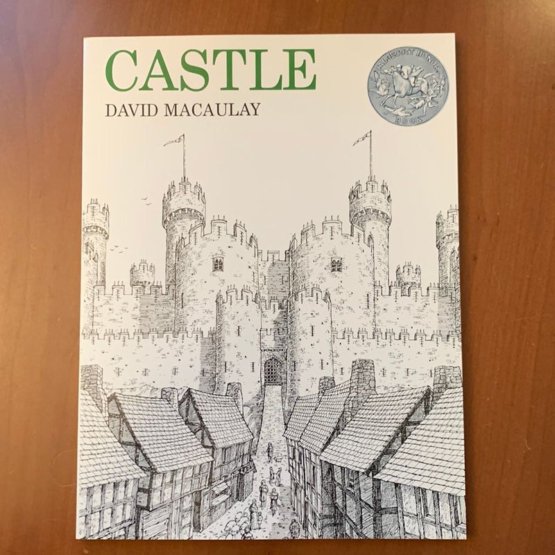 Castle (1977 Caldecott Honor Book)