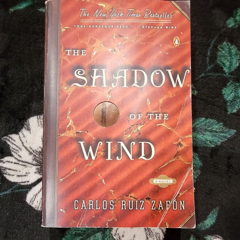 The Shadow of the Wind