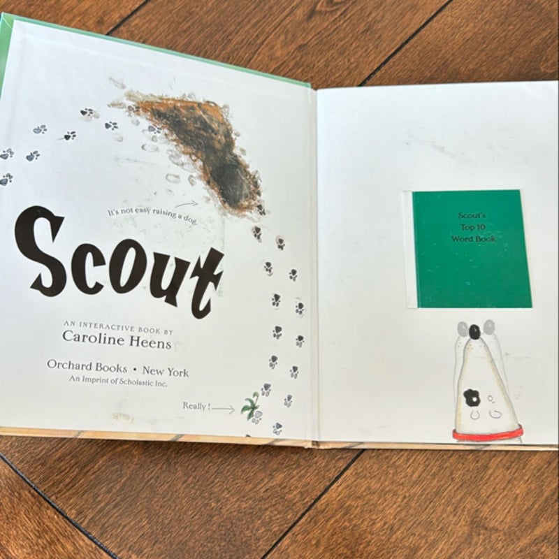 Scout