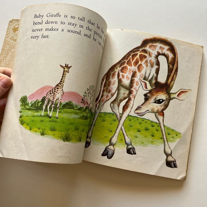 Vintage Little Golden Book: Baby Animals 1956