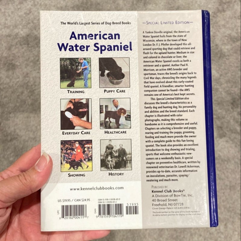 American Water Spaniel