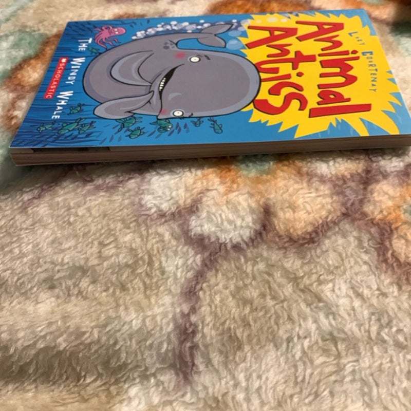 The Windy Whale