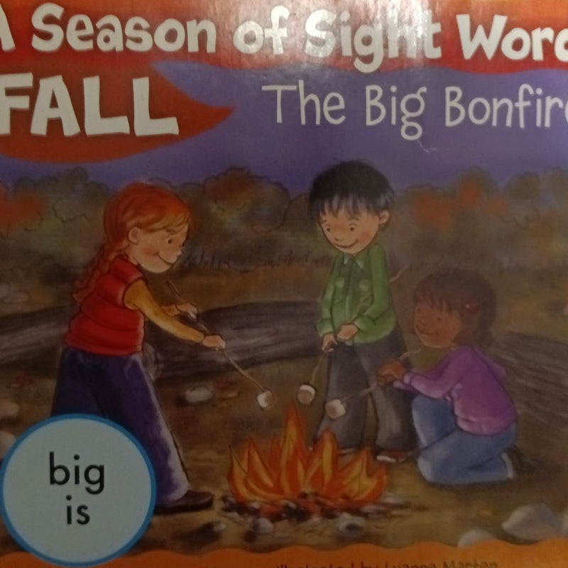 The Big Bonfire 