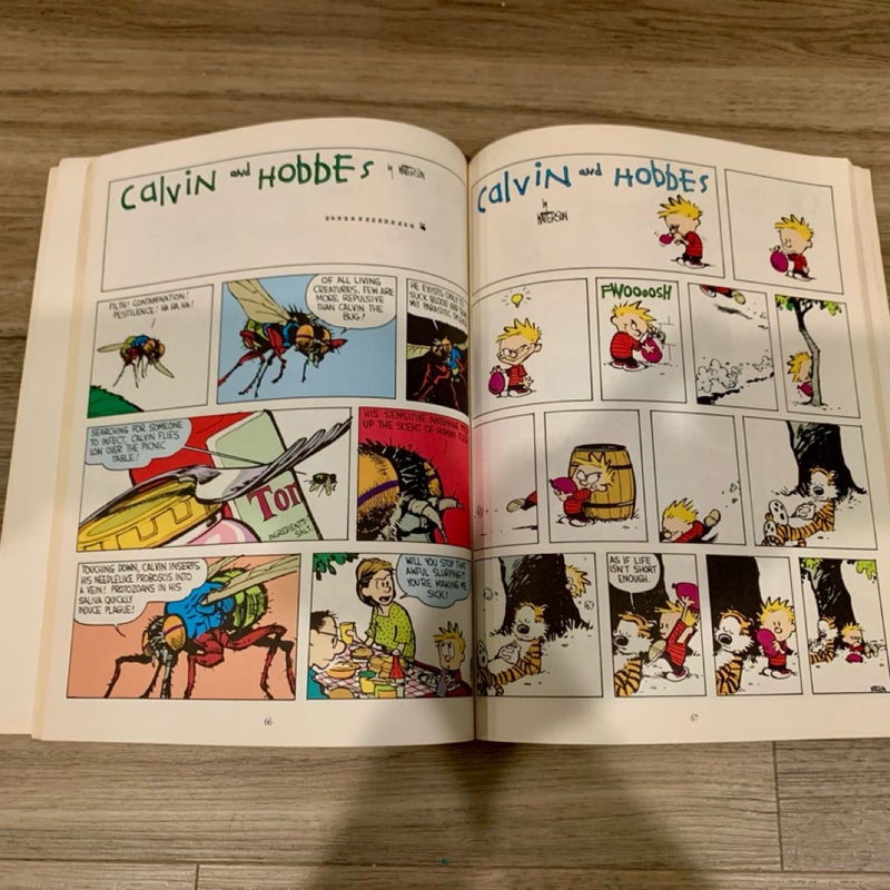 The Calvin and Hobbes Lazy Sunday Book