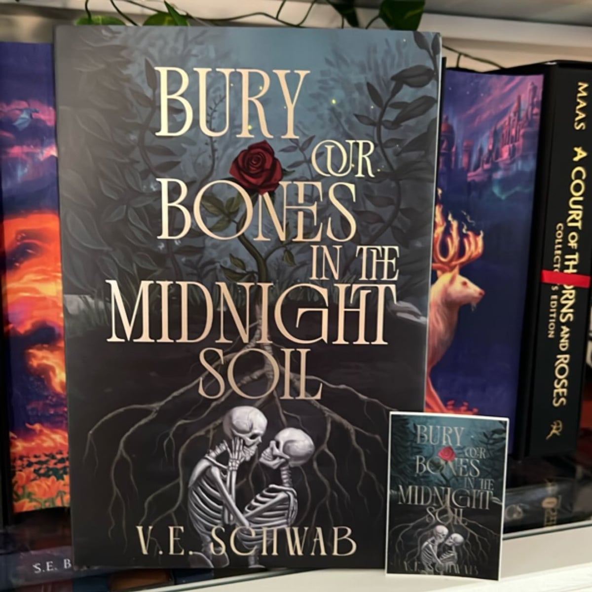 Bury Our Bones In The Midnight Soil by , Hardcover | Pangobooks