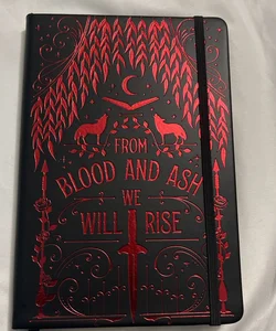 Book Journal/Sprayed Edges!! (Blood and Ash Theme)