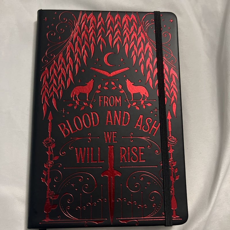 From Blood and Ash 🩸 Book Journal/Sprayed Edges!!