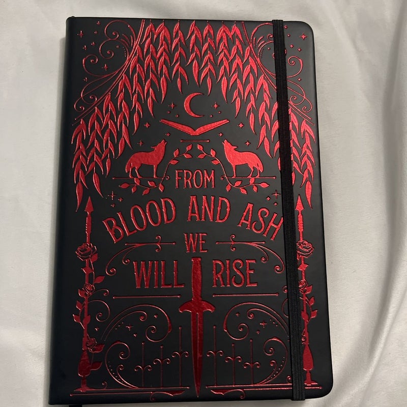 Book Journal/Sprayed Edges!! (Blood and Ash Theme)