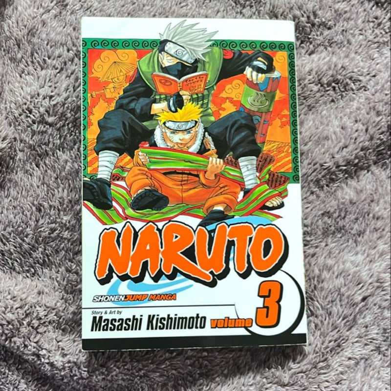 Naruto, Vol. 3