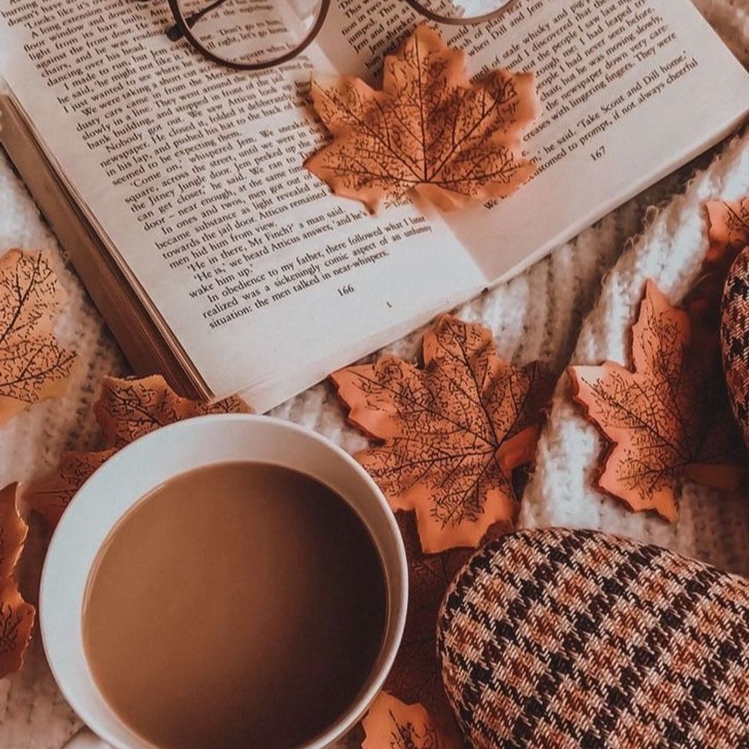Abbylovesbooks28280