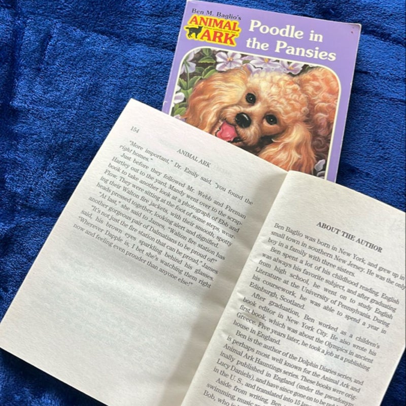 BOOK BUNDLE: Dalmatian in the Daisies and Poodle in the Pansies
