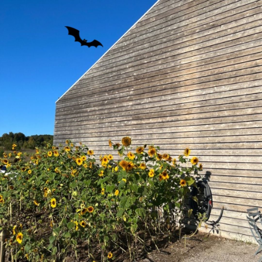 Bat House Books