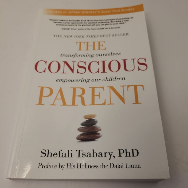 The Conscious Parent