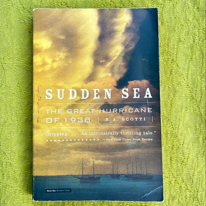 Sudden Sea