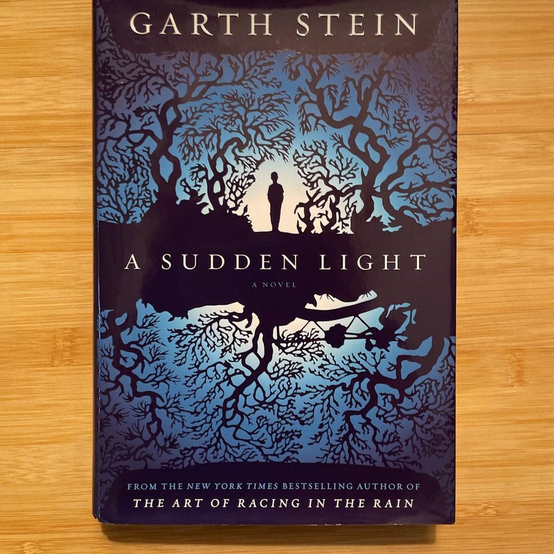A Sudden Light