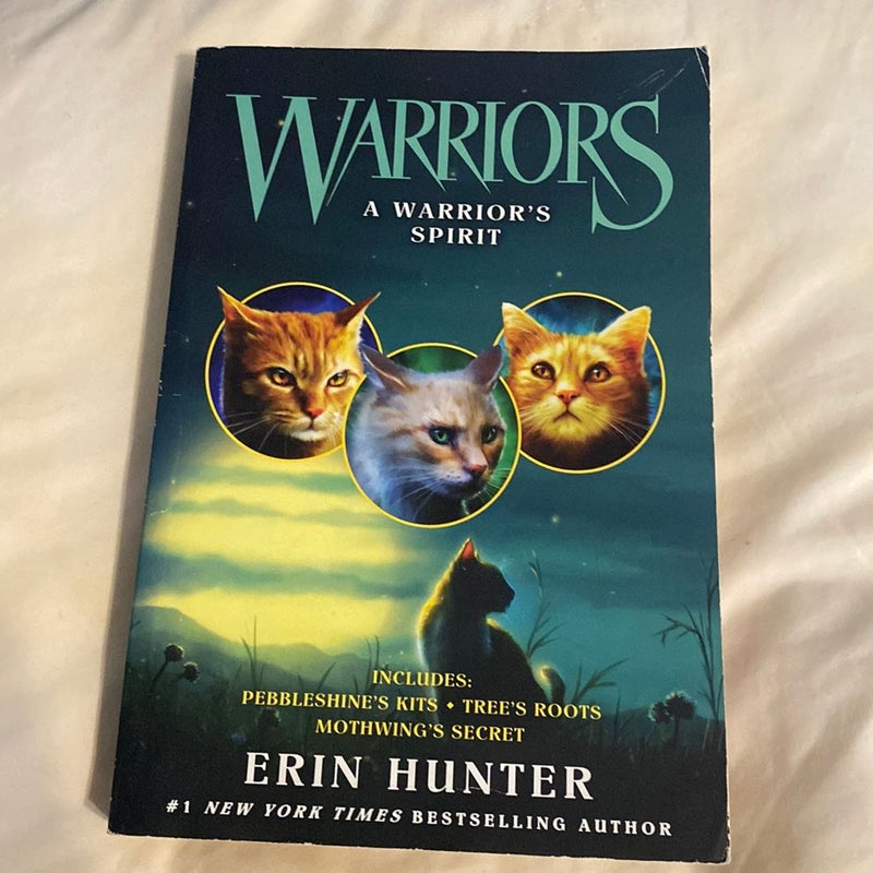 Warriors: a Warrior's Spirit