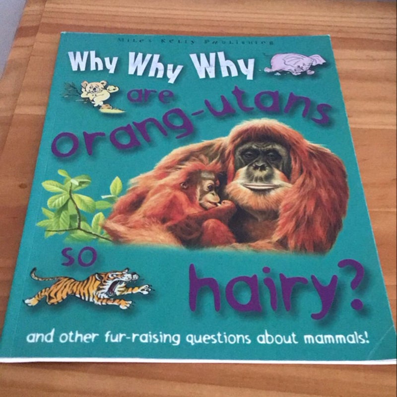 Do Orang Utangs Live in Trees