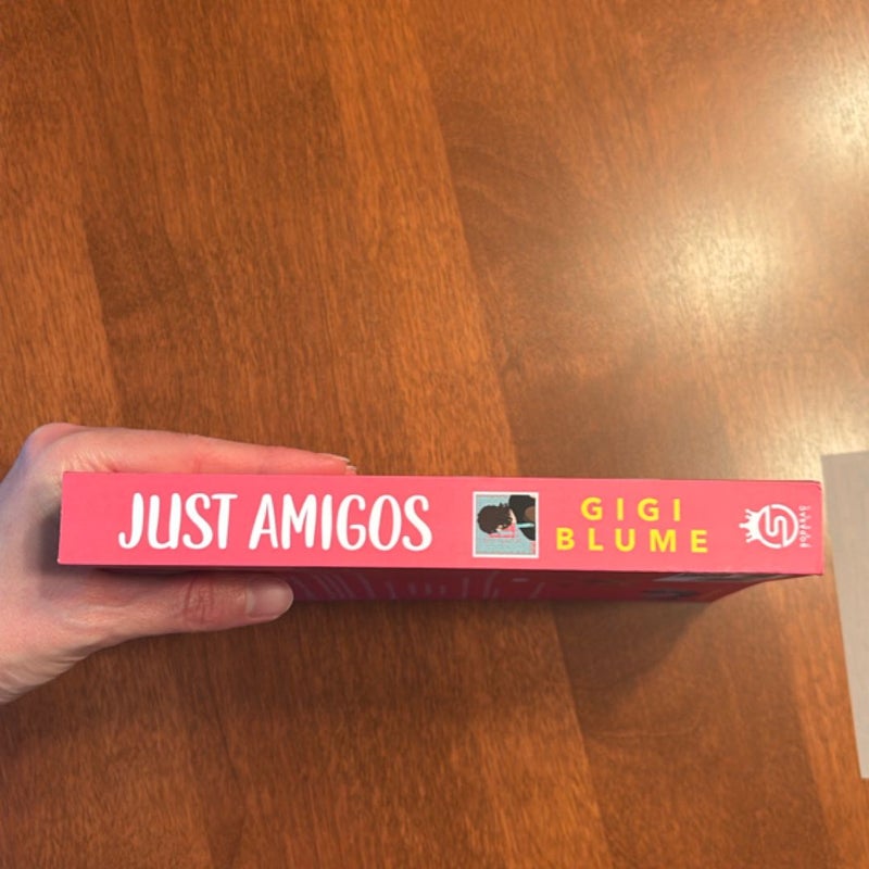 Just Amigos