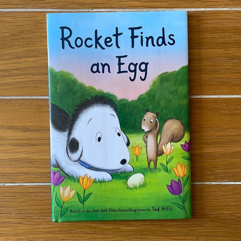 Rocket Finds an Egg