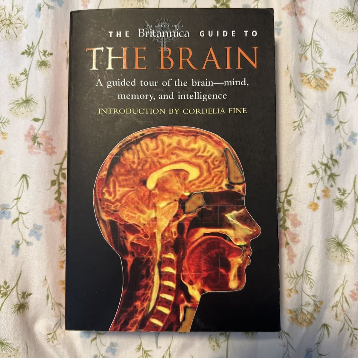 The Britannica Guide to the Brain by Running Press Staff