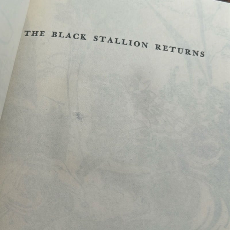 The Black Stallion Returns