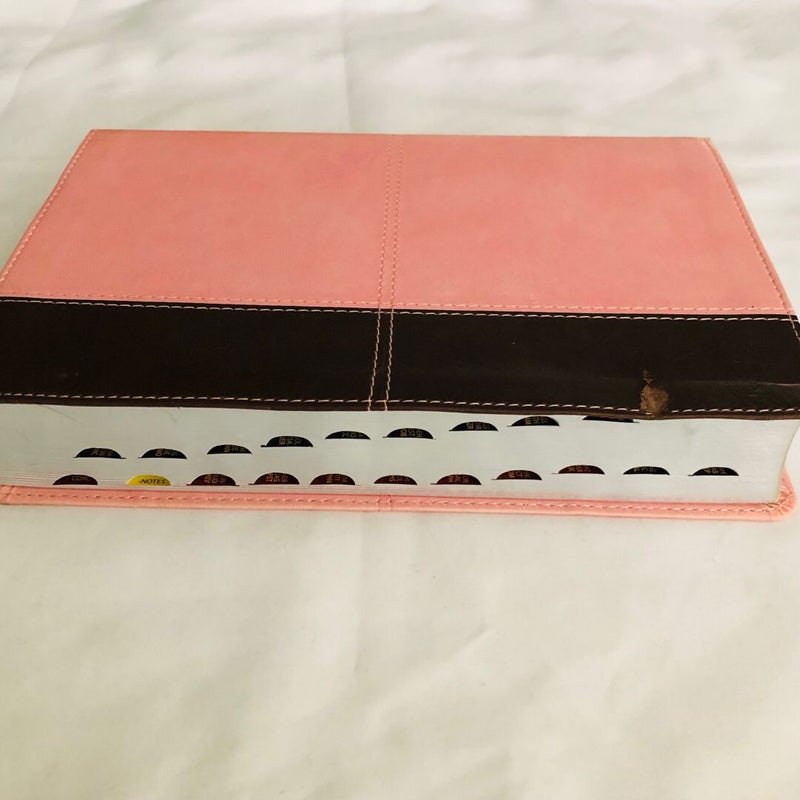 HCSB Large Print Personal Size Bible, Pink/Brown LeatherTouch Indexed