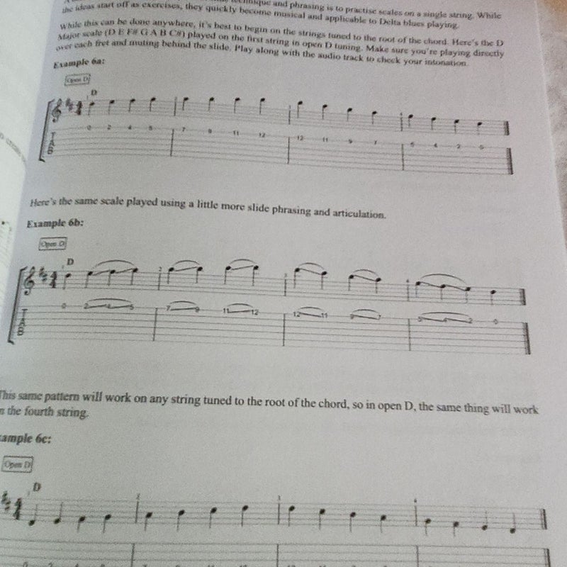 Delta Blues Slide Guitar