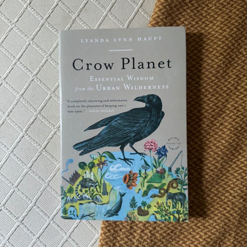 Crow Planet