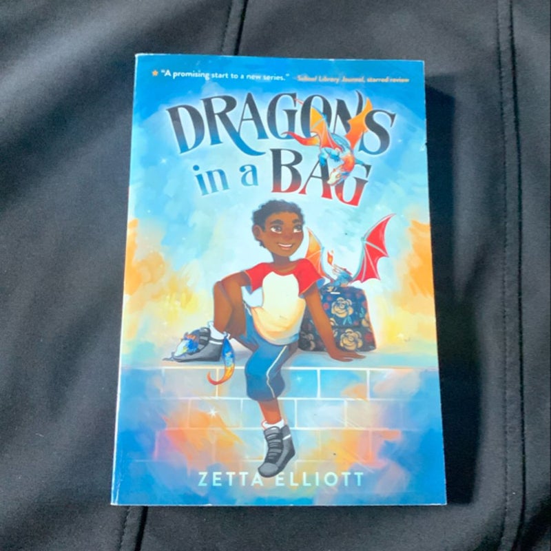 Dragons in a Bag