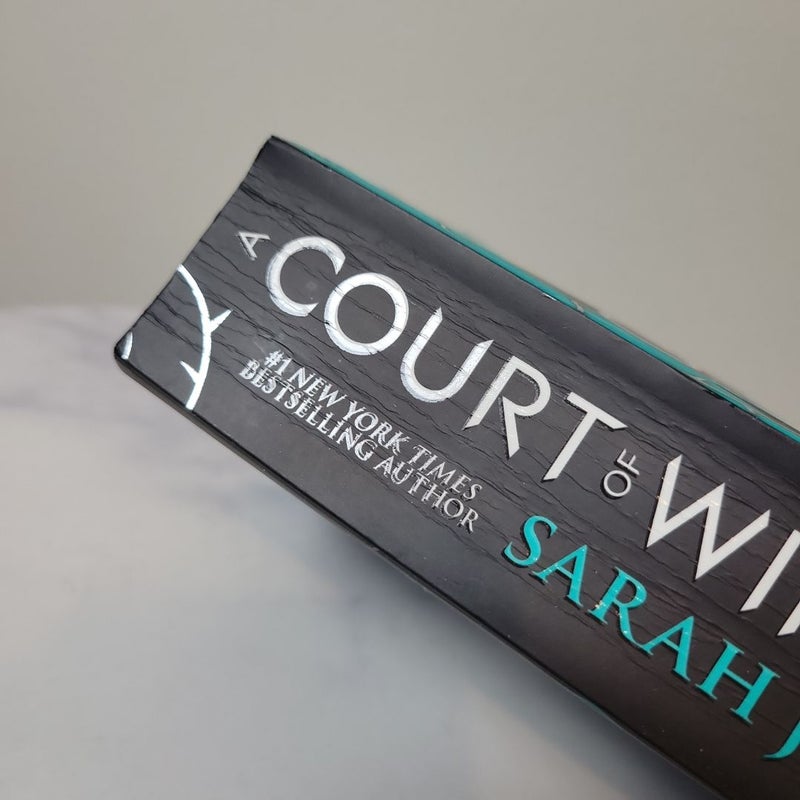 A Court of Wings and Ruin | UK Paperback OOP