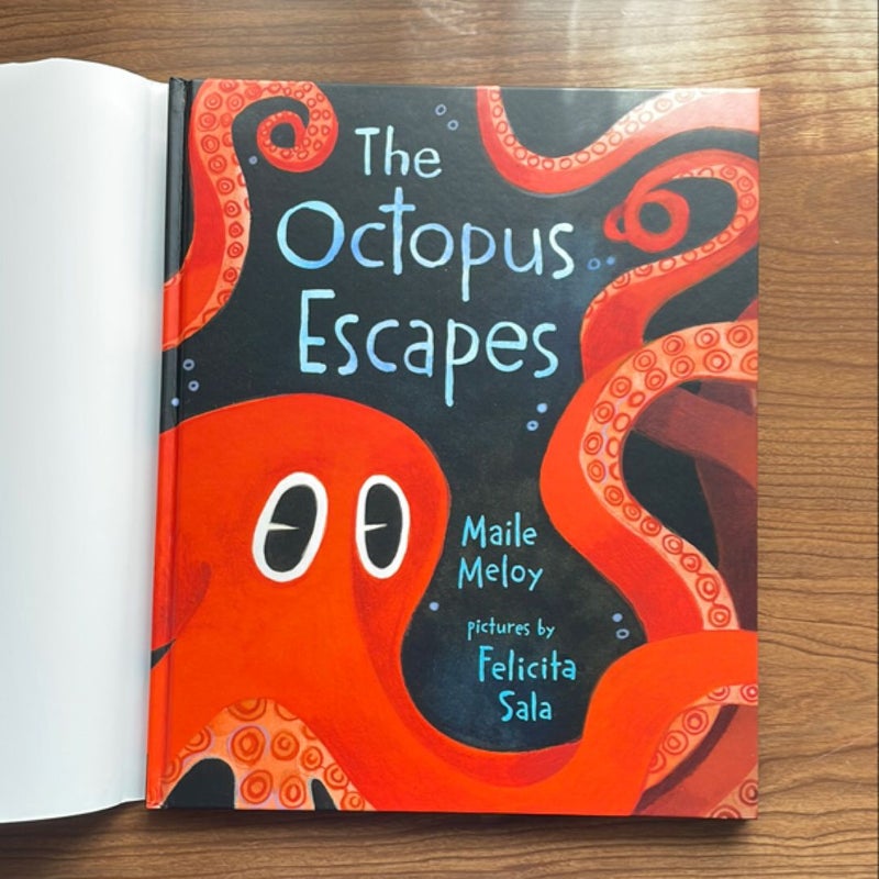 The Octopus Escapes