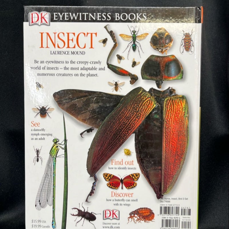 Insect