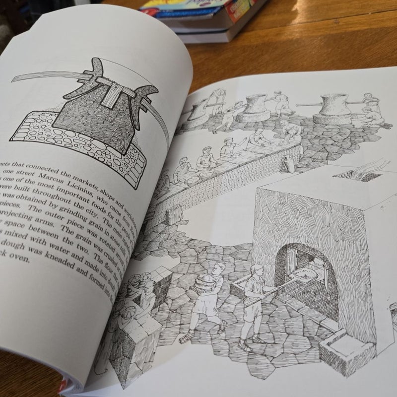 City, A Story of Roman Planning and Construction 