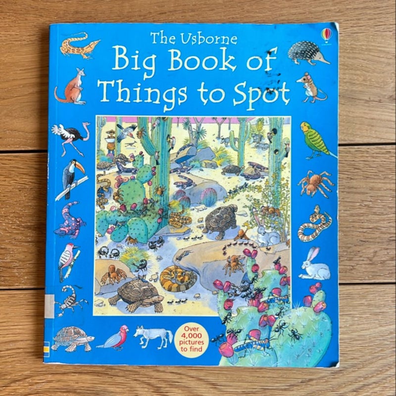 The Usborne Big Book of Things to Spot