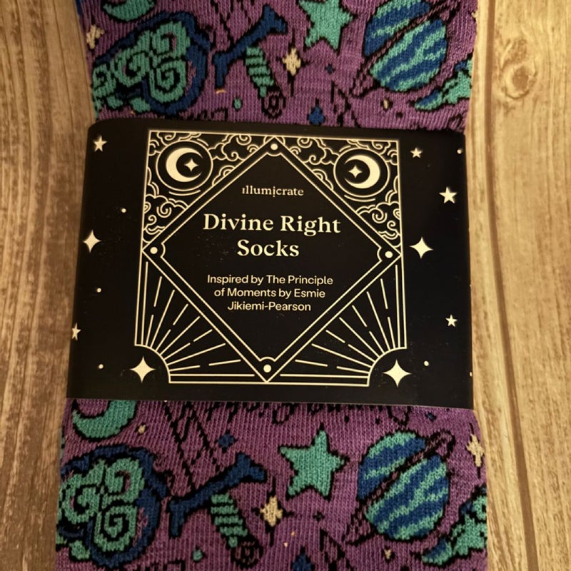 Illumicrate principle of moments socks