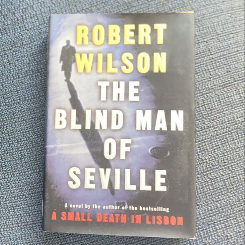 The Blind Man of Seville