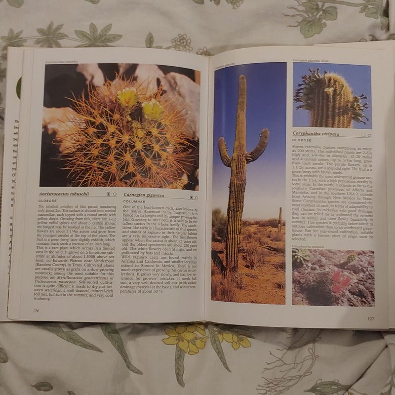 Complete Encyclopedia of Cacti