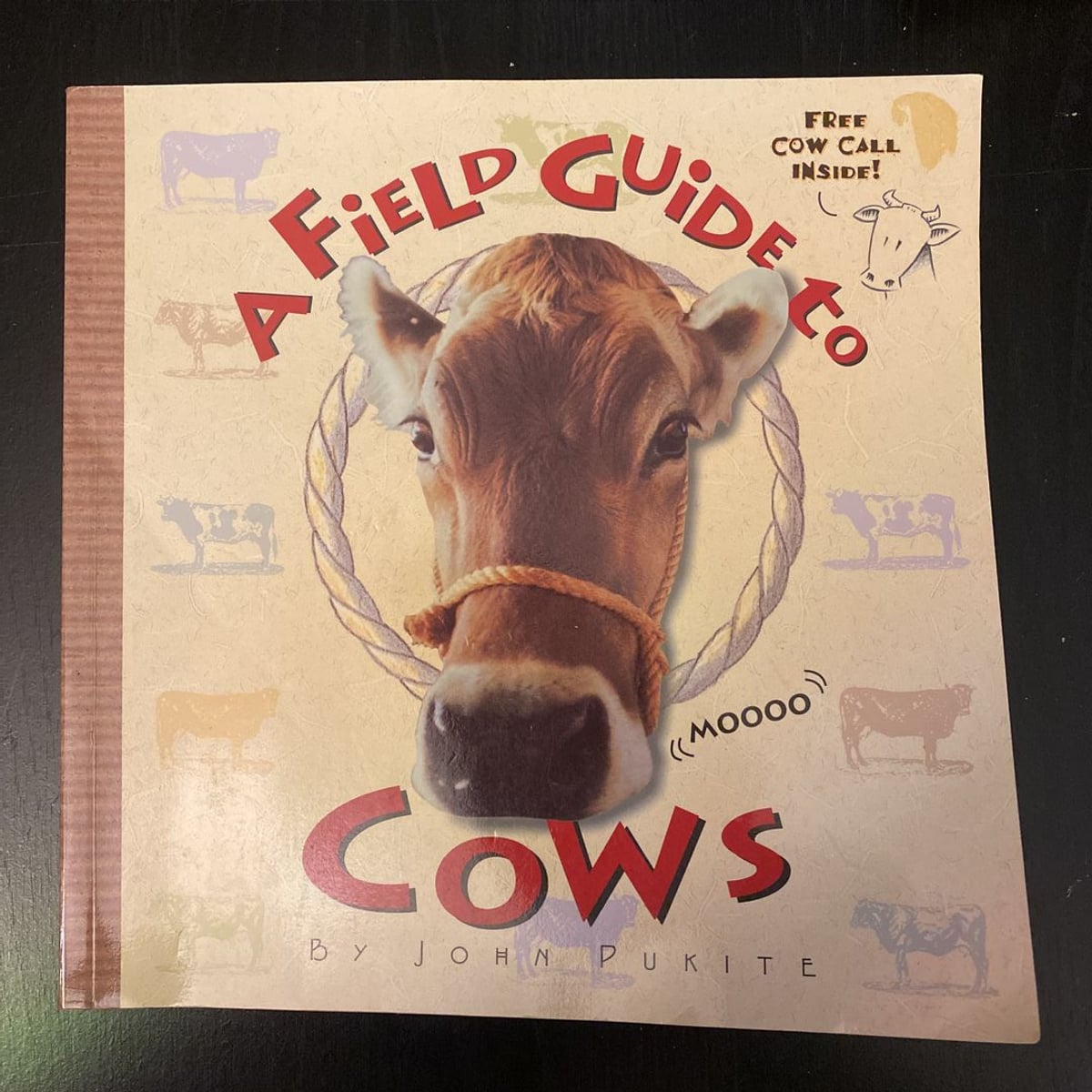 A Field Guide to Cows by John Pukite, Falcon
