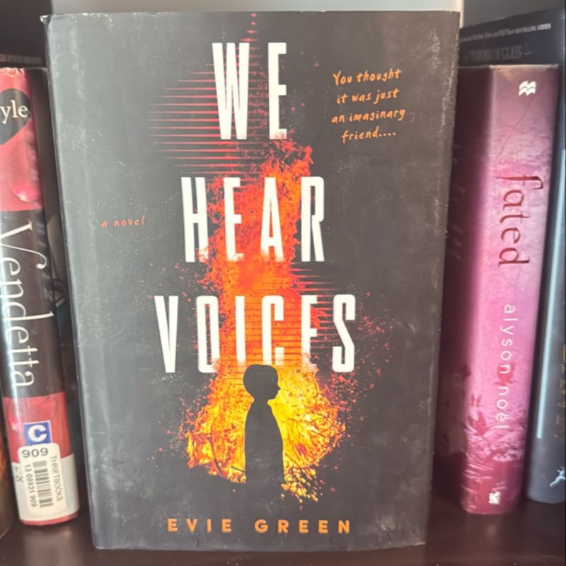 We Hear Voices