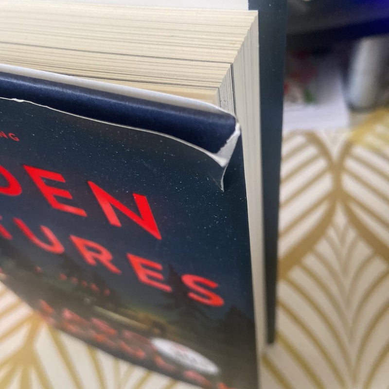 Hidden Pictures