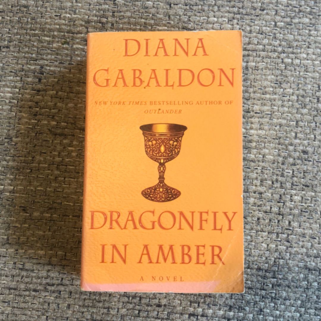 Dragonfly in Amber
