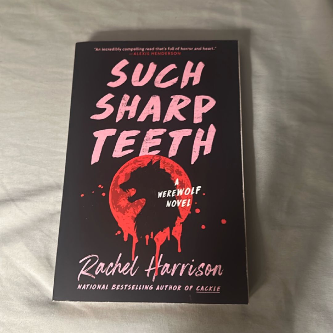 Sale image for afecb923-ff4c-4004-a317-da5fbc87690f-fobvTVA0V5VpYbxhZb9yv1aUiMr2