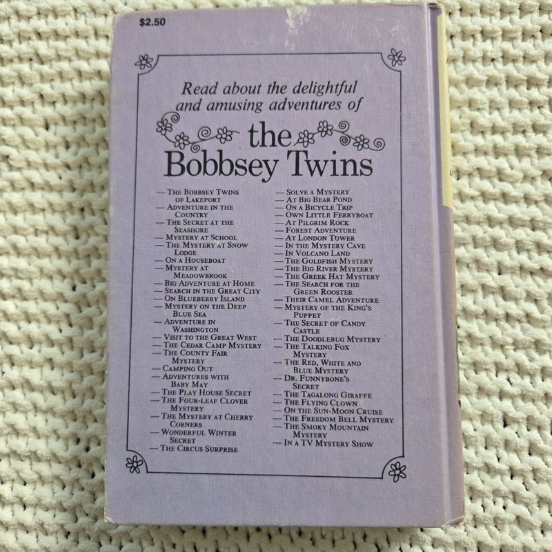 The Bobbsey Twins: The Mystery at School