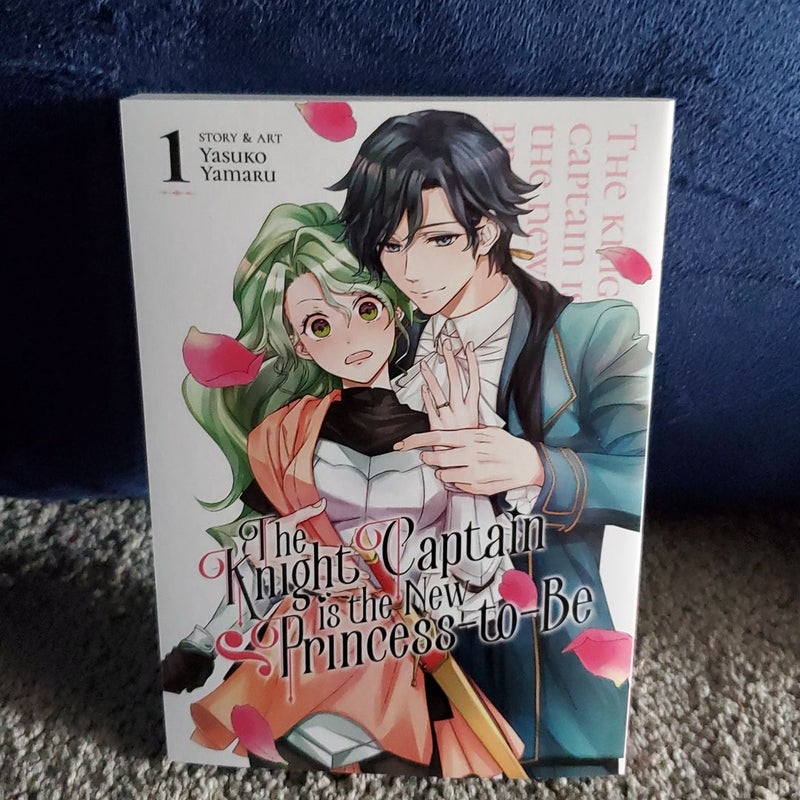 My Dear Agent Manga Volume 2