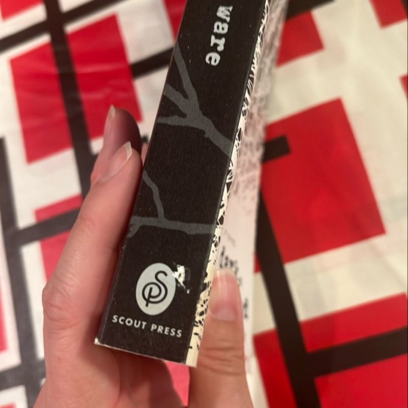 In a Dark, Dark Wood