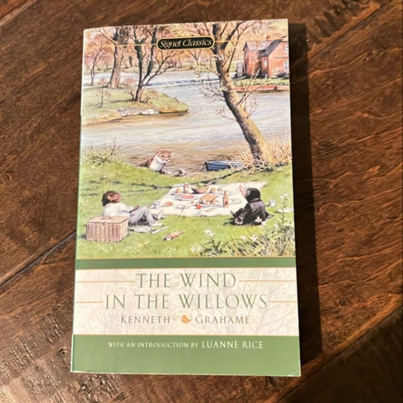 The wind in the willows 