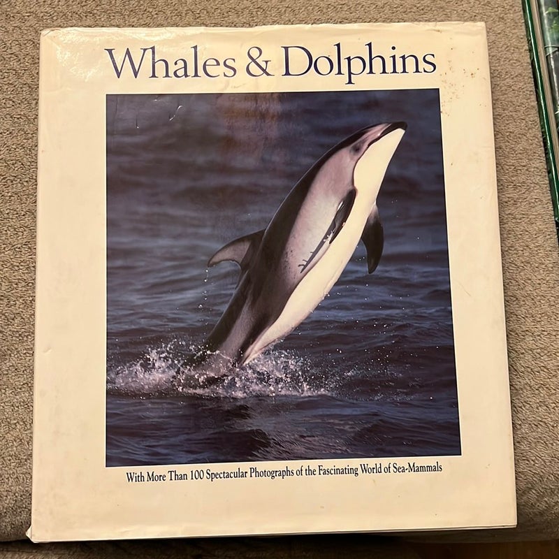 Whales and Dolphins