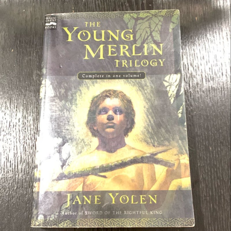 The Young Merlin Trilogy